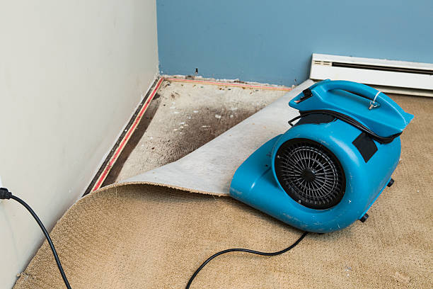 Best Water damage restoration process  in USA